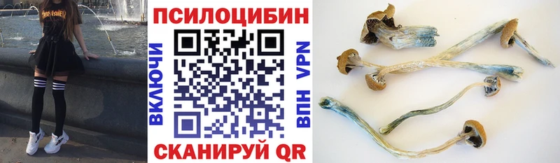 Купить закладки  Сосновка  Галлюциногенные грибы прущие грибы 